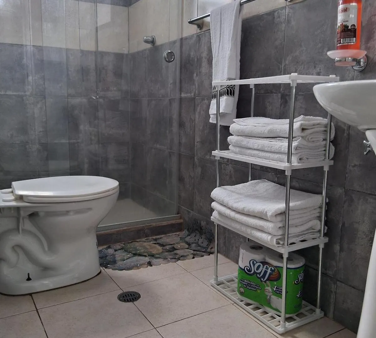 Aparthotel Residence Fasmin B&B Nayon Experience Boxing Quito